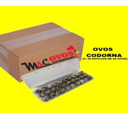 CAIXA OVOS CODORNA 
